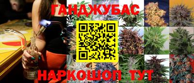 МДПВ Будённовск
