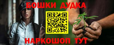 МДПВ Будённовск