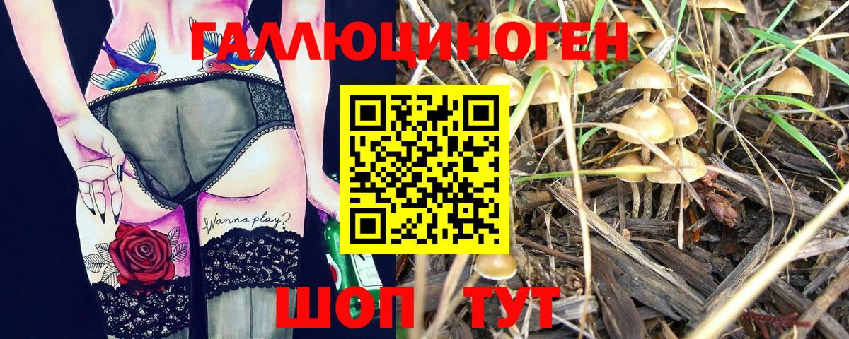 Псилоцибиновые грибы Psilocybe Слободской