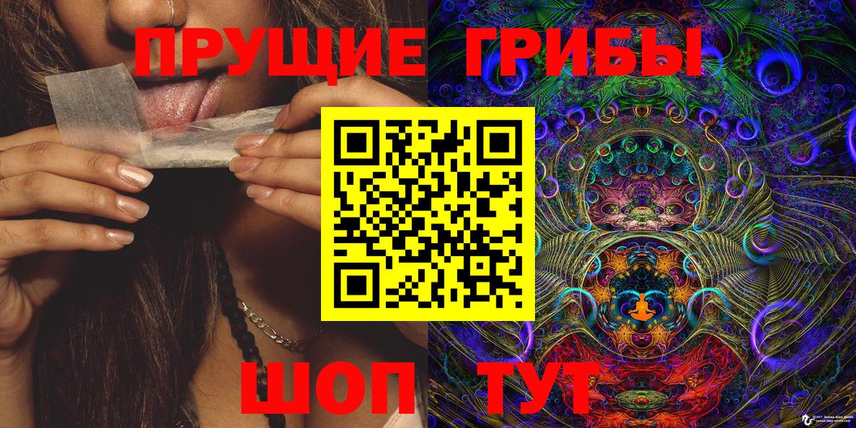 Слободской  Галлюциногенные грибы Cubensis  Вход с VPN 